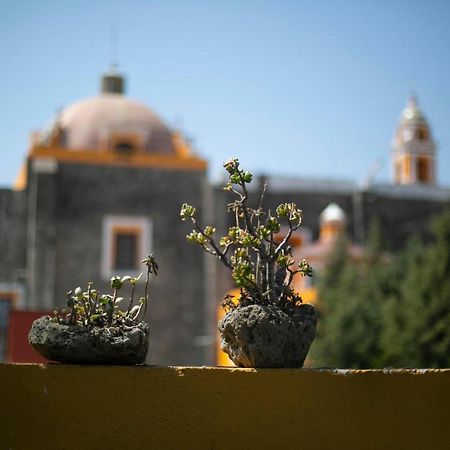 Majikal B&B -Retro Cholula Eksteriør bilde